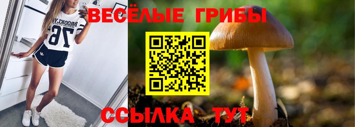 Галлюциногенные грибы Magic Shrooms  Вход с VPN  Галлюциногенные грибы Psilocybe  Котельники 