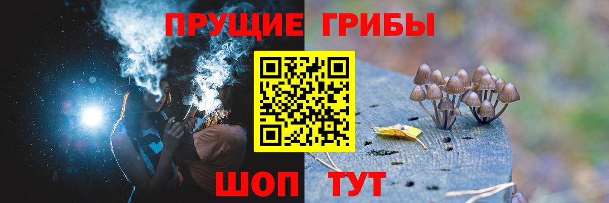 Псилоцибиновые грибы Psilocybe Котельники